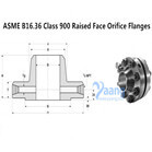 ASME B16.36 Class 900 Raised Face Orifice Flanges